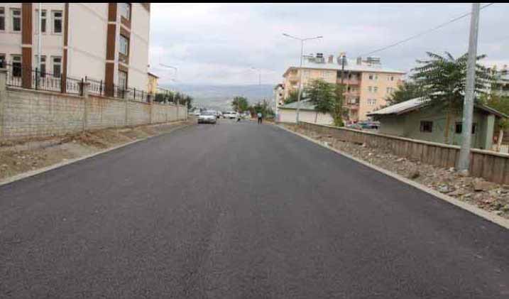 BİNGÖL BELEDİYESİ YOL KALDIRIM İNŞ (17)